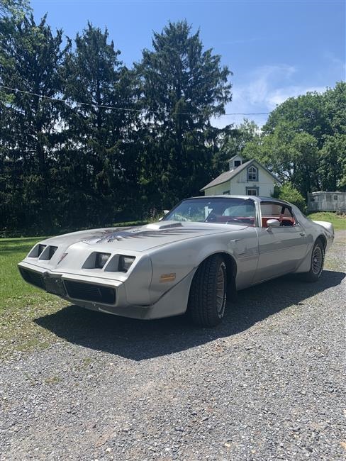 1979 Pontiac Trans Am te koop