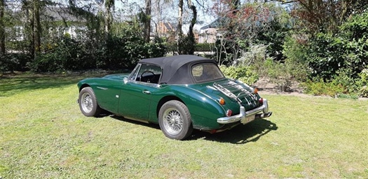 1964 Austin Healey 3000 MK3 oldtimer te koop