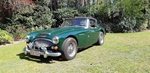 1964 Austin-Healey 3000 MK3 oldtimer te koop