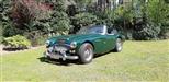 1964 Austin Healey 3000 MK3 oldtimer te koop