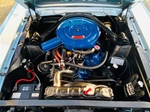 1966 Ford Mustang te koop