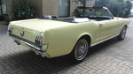 1966 Ford Mustang V 8 oldtimer te koop