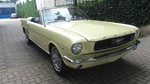 1966 Ford Mustang V 8 oldtimer te koop