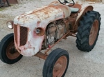 1954 Lamborghini DL 25 oldtimer tractor te koop