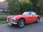 1964 Austin-Healey bj8 mk 3 oldtimer te koop