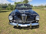 1954 Alfa Romeo 1900 Super oldtimer te koop