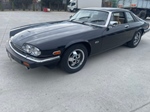 1984 Jaguar Xjs oldtimer te koop