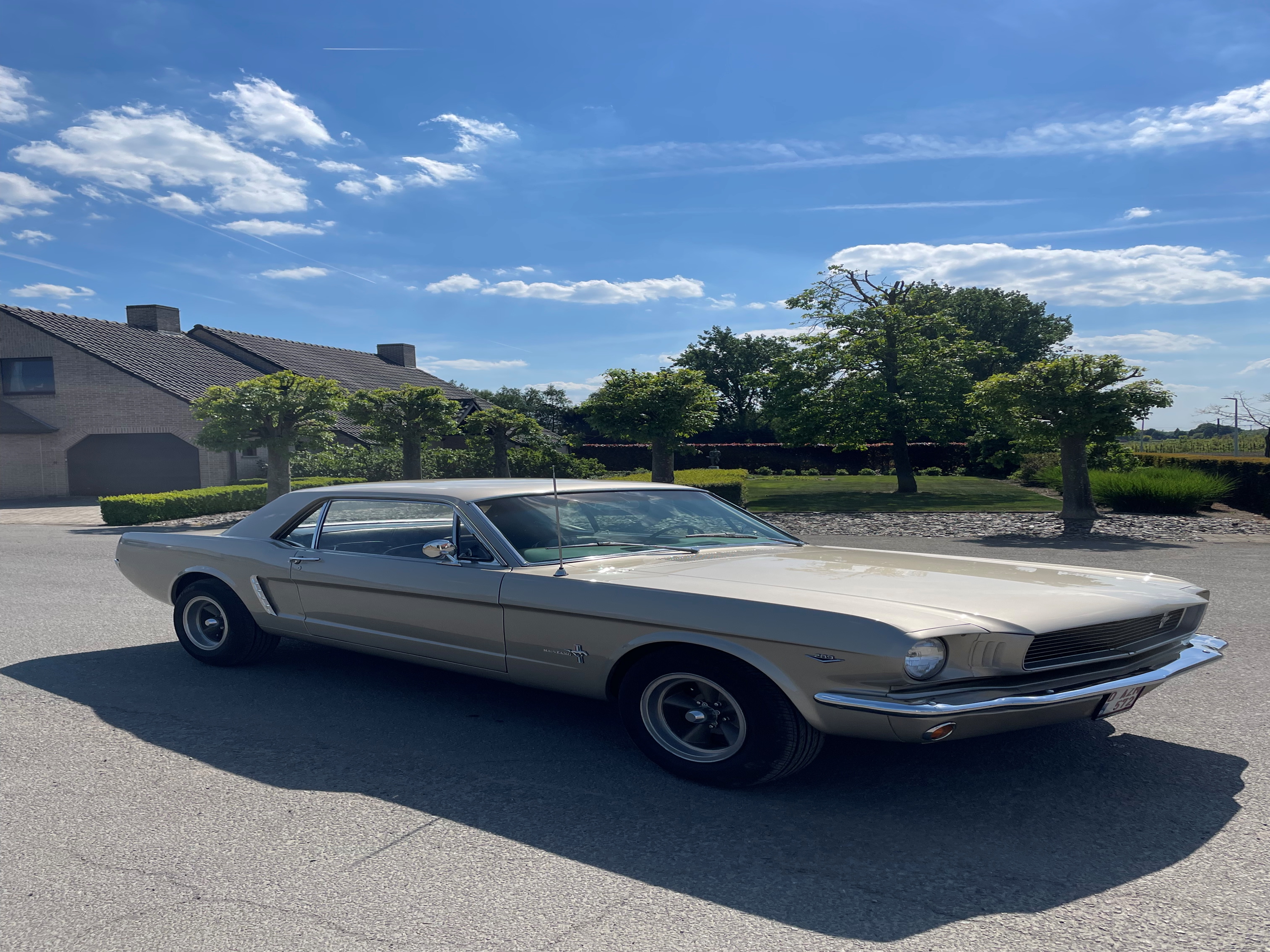 1965 Ford Mustang  oldtimer te koop