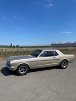 1965 Ford Mustang  oldtimer te koop