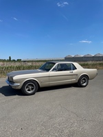 1965 Ford Mustang  oldtimer te koop