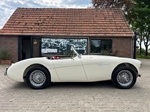 1956 Austin-Healey 100-4 bn2 oldtimer te koop