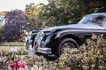 1958 Jaguar xk150 fhc oldtimer te koop