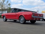 1966 Ford Mustang oldtimer te koop