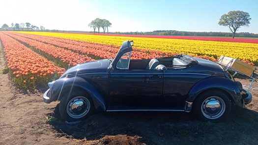 1974 Volkswagen Kever  oldtimer te koop