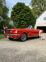 1965 Ford Mustang oldtimer te koop