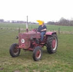 1956 McCormick D324 oldtimer tractor te koop
