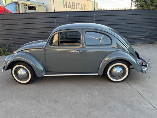 1954 Volkswagen Kever ovaal oldtimer te koop