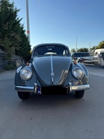 1954 Volkswagen Kever ovaal oldtimer te koop