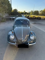 1954 Volkswagen Kever ovaal oldtimer te koop