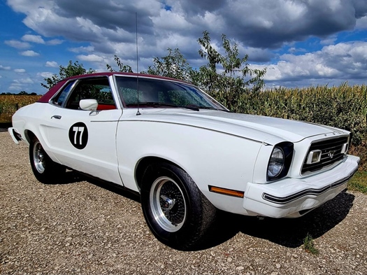 1977 Ford Mustang oldtimer te koop