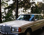 1977 Mercedes 300 oldtimer te koop