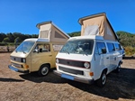 1981 Volkswagen T3 oldtimer te koop