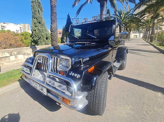 1992 Jeep Wrangler oldtimer te koop