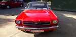 1965 Ford Mustang oldtimer te koop