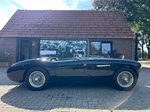 1955 Austin-Healey 100 M oldtimer te koop