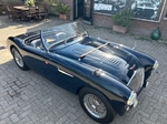 1955 Austin-Healey 100 M oldtimer te koop