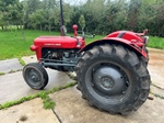 1958 Massey Ferguson 35 oldtimer tractor te koop