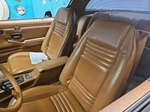 1979 Pontiac Trans AM 10th anniversary V8 oldtimer te koop