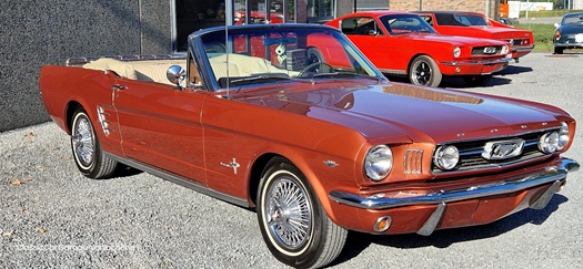 1966 Ford Mustang Convertible oldtimer te koop