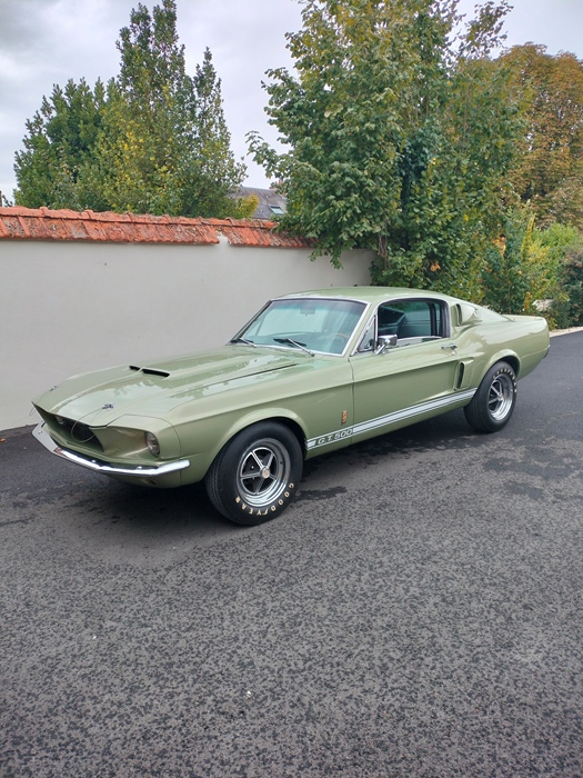 1967 Shelby Mustang GT500 oldtimer te koop