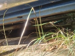 1984 Chevrolet el camino oldtimer te koop
