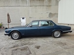 1982 Jaguar XJ12 oldtimer te koop