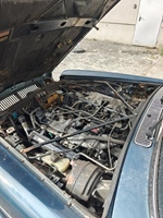 1982 Jaguar XJ12 oldtimer te koop