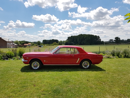 1965 Ford Mustang  oldtimer te koop