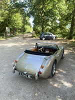 1965 Austin-Healey Healey oldtimer te koop