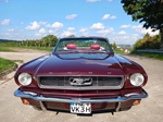 1966 Ford Mustang oldtimer te koop