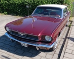 1966 Ford Mustang oldtimer te koop