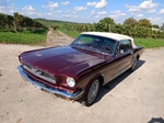 1966 Ford Mustang oldtimer te koop