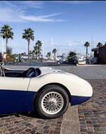 1956 Austin-Healey Healey oldtimer te koop