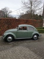 1953 Volkswagen Kever oldtimer te koop