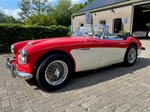 1964 Austin-Healey 3000 bj8 oldtimer te koop