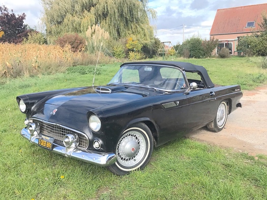 1955 Ford Thunderbird oldtimer te koop