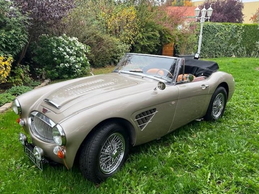 1965 Austin-Healey Healey oldtimer te koop