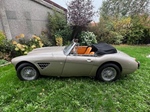 1965 Austin-Healey Healey oldtimer te koop