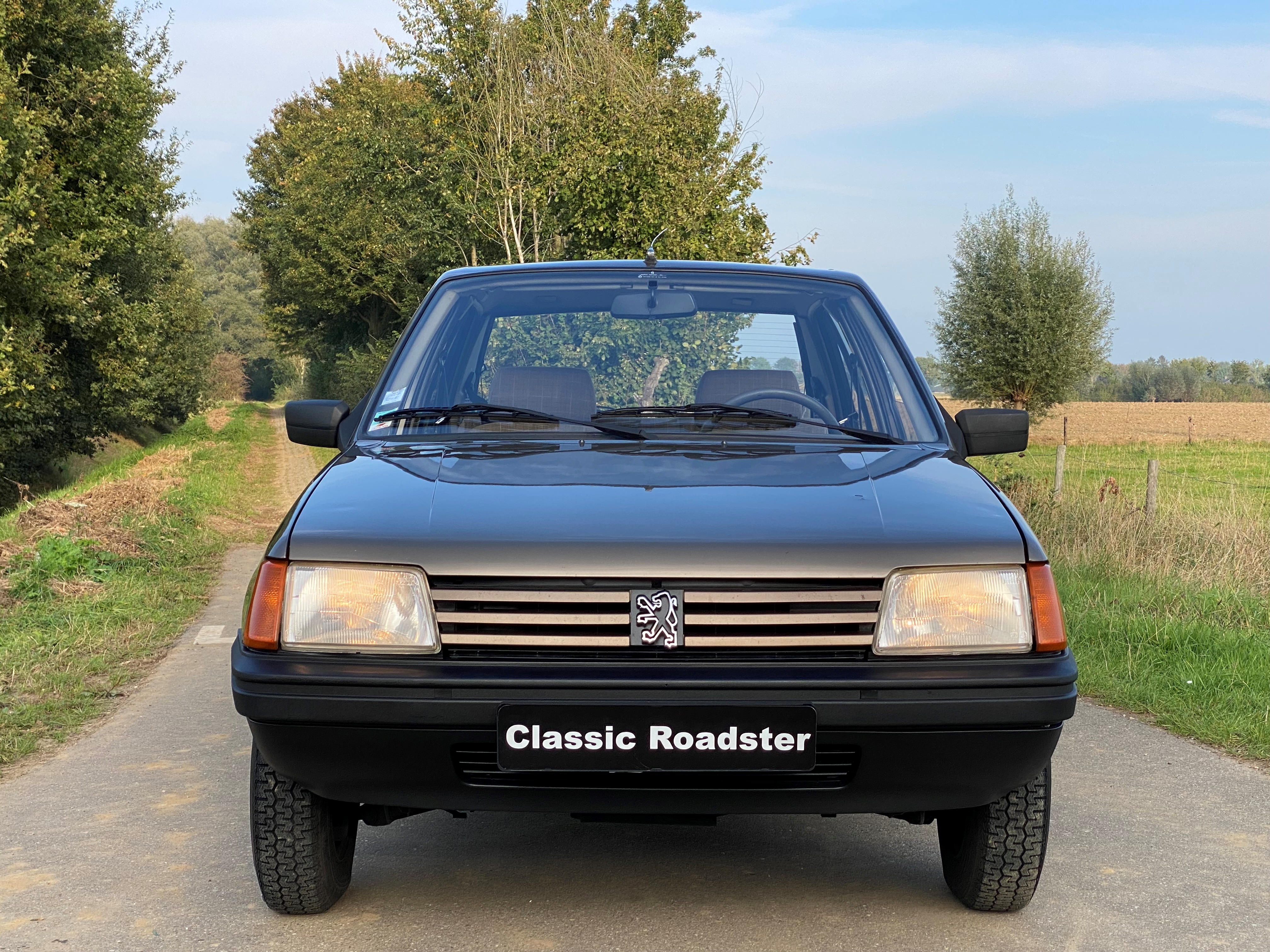 1983 Peugeot 205 1.1 gr oldtimer te koop