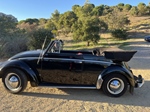 1954 Volkswagen Kever oldtimer te koop
